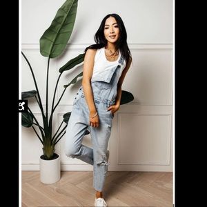 NWT Dylan Distressed Overalls Sz S